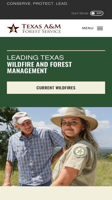 tfsweb.tamu.edu