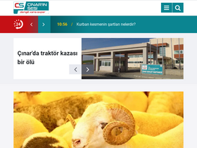 'cinarinsesi.com' screenshot
