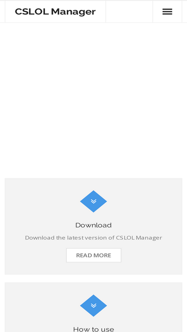 How to use  CSLOL Manager