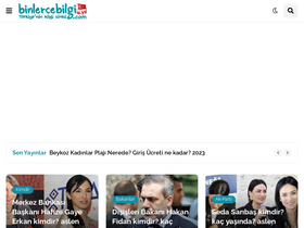 'binlercebilgi.com' screenshot