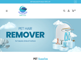 success-sail.com homepage screenshot
