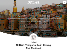 'saltinourhair.com' screenshot