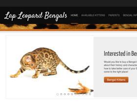 lapleopardbengals.com