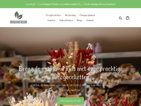 droogbloemenwebshop.nl homepage screenshot