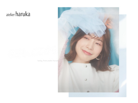 'haruka.co.jp' screenshot