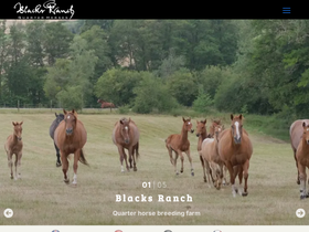 blacksranch.com