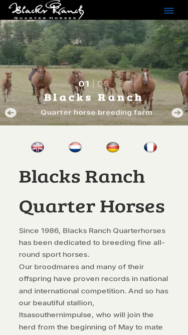 blacksranch.com