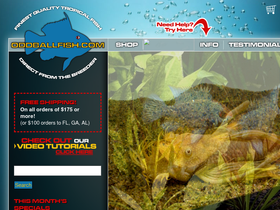 oddballfish.com