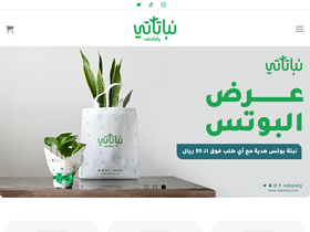 'nabataty.com' screenshot