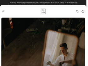 alike.pl homepage screenshot
