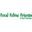 feralfelinefriends.org
