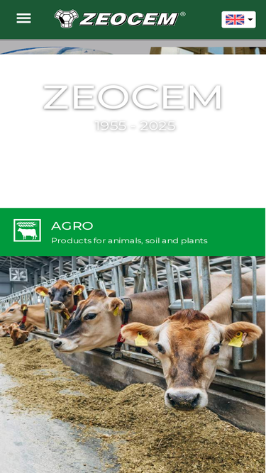 zeocem.com