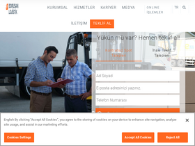 'borusanlojistik.com' screenshot