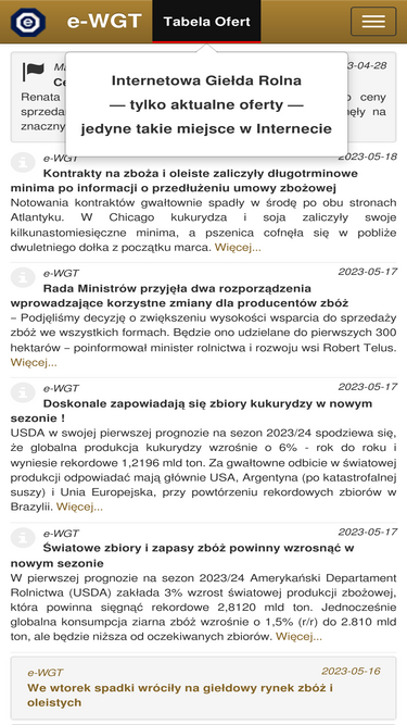 ewgt.com.pl