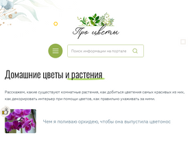 'procvety.net' screenshot