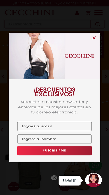 cecchini.com.ar