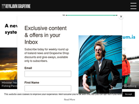 'grapevine.is' screenshot