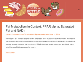 'fireinabottle.net' screenshot