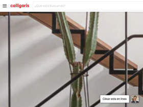 calligarismexico.com homepage screenshot