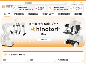 'nagoya-central-hospital.com' screenshot