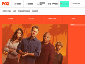 'foxnetworks.jp' screenshot