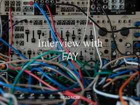 'the-brandidentity.com' screenshot