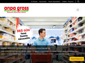 'anpagross.com' screenshot