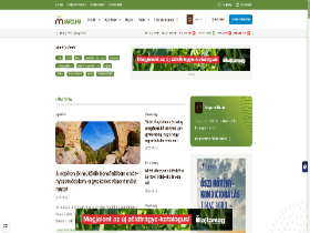 'magro.hu' screenshot