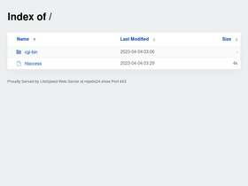 'repelis24.show' screenshot