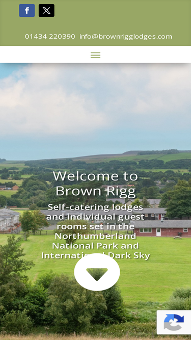 brownrigglodges.com