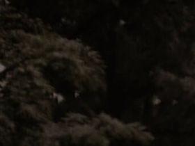 'catholicmatch.com' screenshot