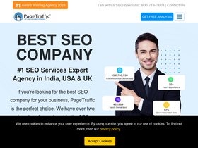 'pagetraffic.com' screenshot