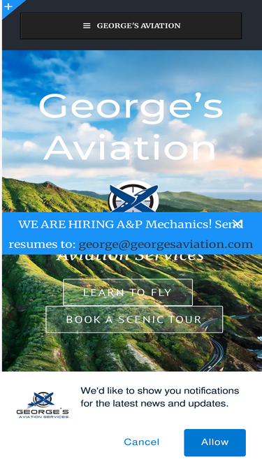 georgesaviation.com