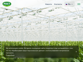 rostgroup.ru