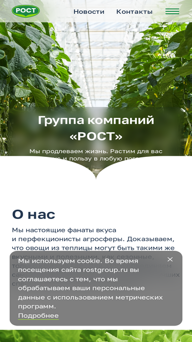 rostgroup.ru