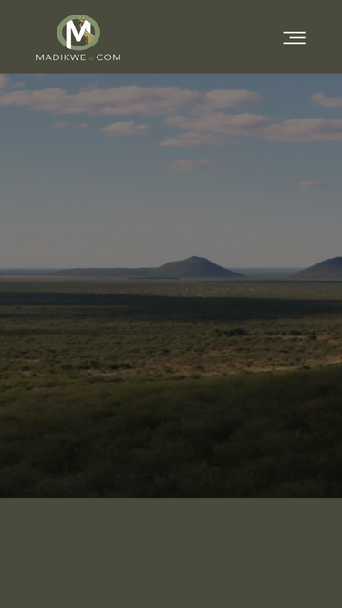 madikwe.com