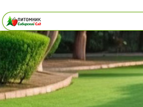 'sibsad-pitomnik.ru' screenshot