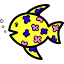 breezehawaii.com