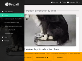 'belpatt.fr' screenshot