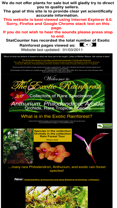 exoticrainforest.com