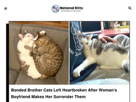 nationalkitty.com
