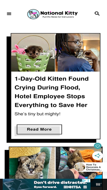 nationalkitty.com