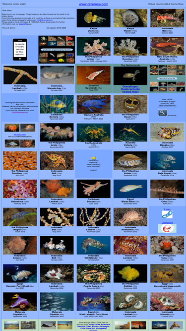 diverosa.com
