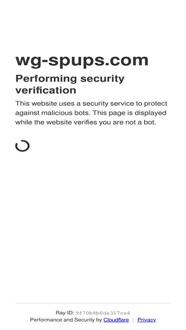 wg-spups.com