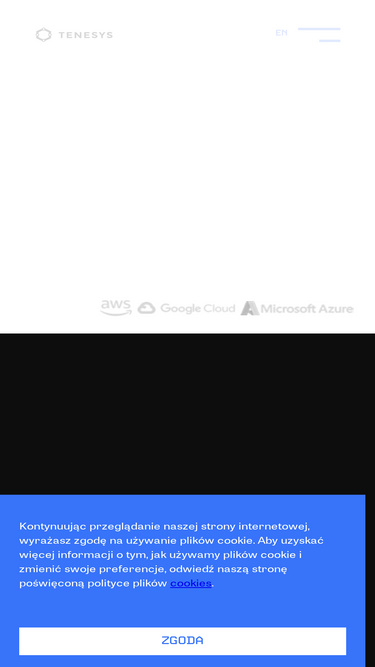 tenesys.io