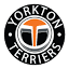 yorktonterriers.com