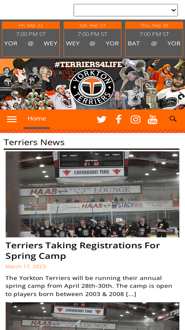 yorktonterriers.com