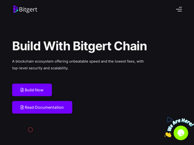 'bitgert.com' screenshot