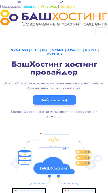 bashhosting.ru