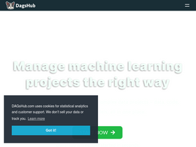 'dagshub.com' screenshot